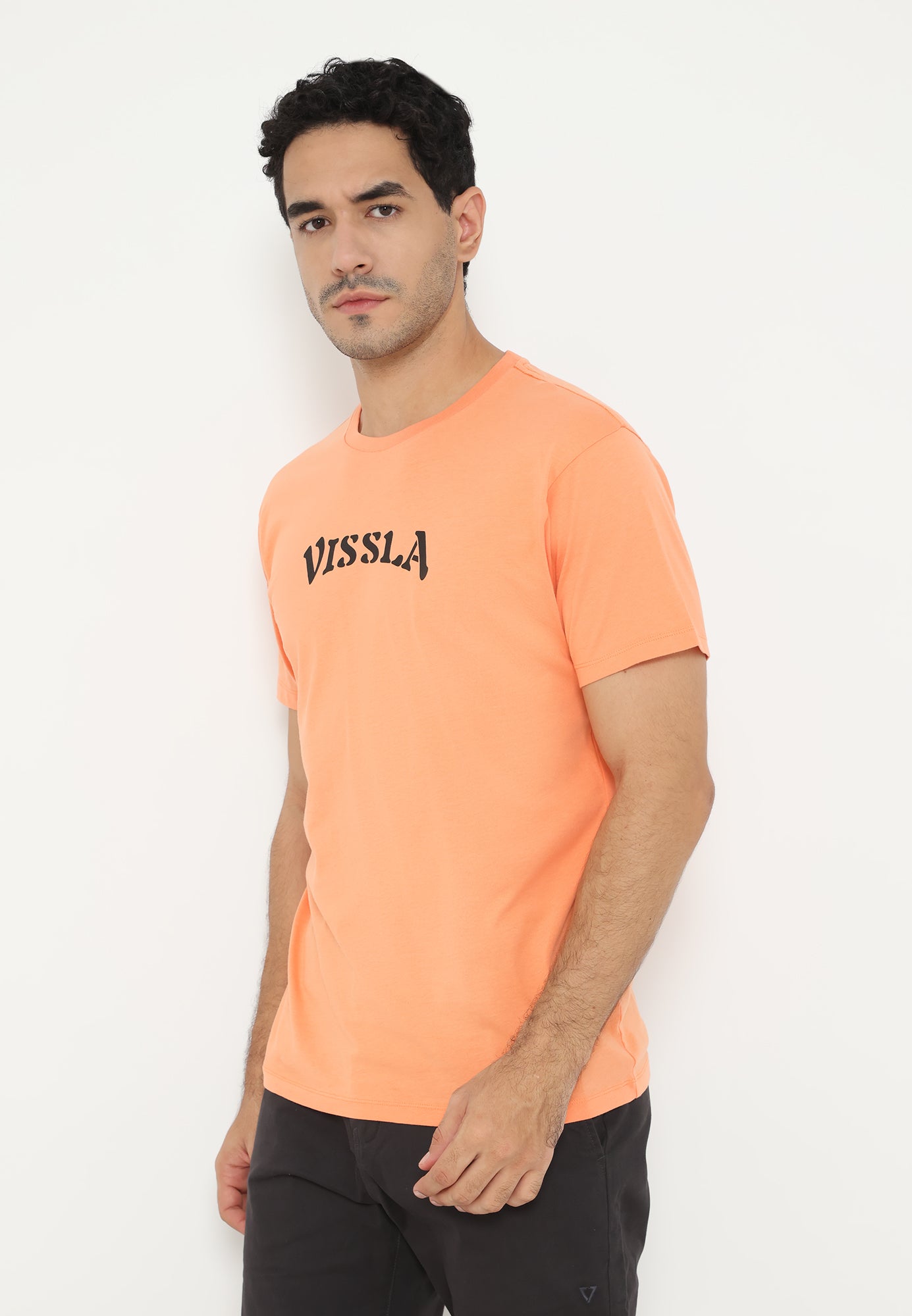 VISSLA-BIG CAT SS ORGANIC TEE